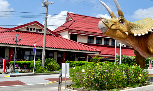 🌺🦖御菓子御殿 名護店へようこそ！