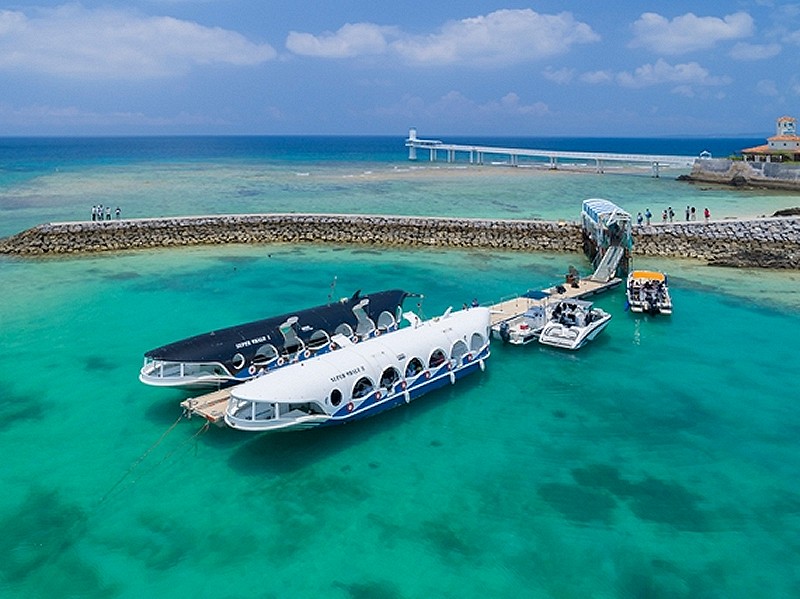  🌊ブセナ海中公園へようこそ！🐠