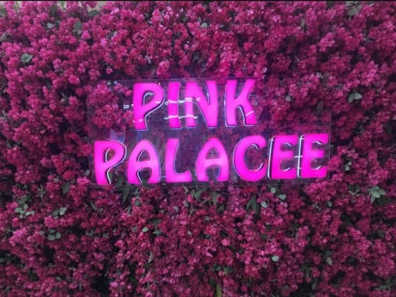 沖縄市の上地、ゲート2通りに誕生した注目のカフェ**「ピンクパレスコーヒー（PINK PALACE COFFEE）」**のご紹介！💖