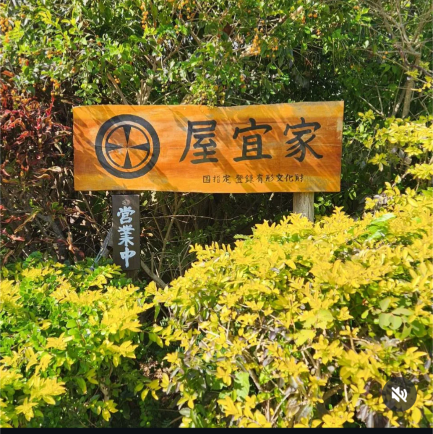 🌺 登録有形文化財で味わう至福の一杯『屋宣家』 🍜